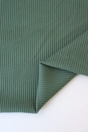 Neptune Green Rayon Spandex Heavy 4x2 Rib Knit