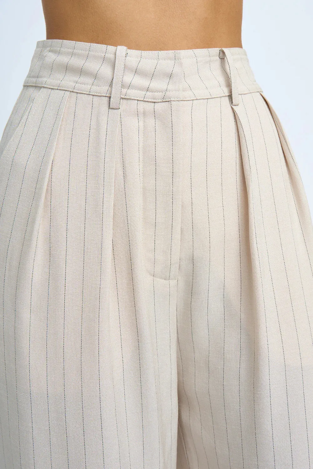 RUMI PINSTRIPE PLEAT FRONT PANT