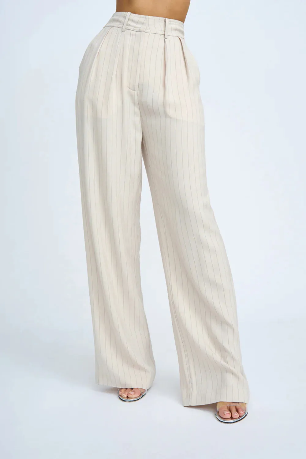 RUMI PINSTRIPE PLEAT FRONT PANT