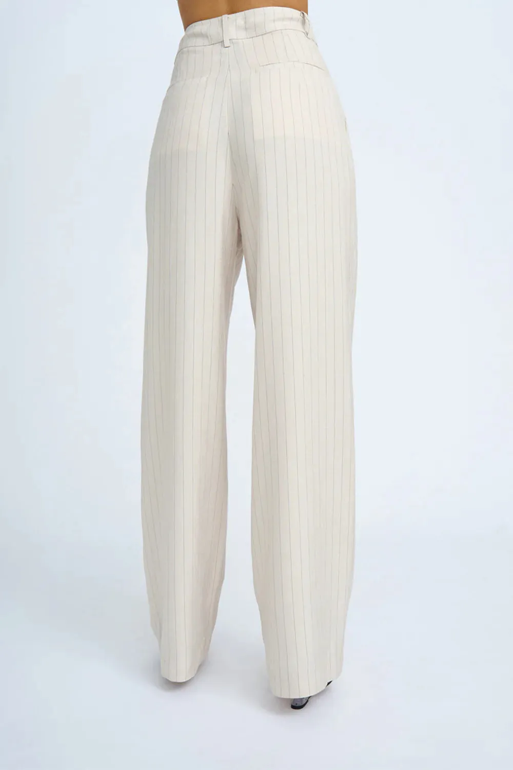 RUMI PINSTRIPE PLEAT FRONT PANT